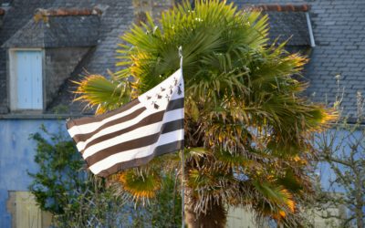 Cet été, vivez la Bretagne au grand air depuis l’Hôtel Aigue Marine à Tréguier