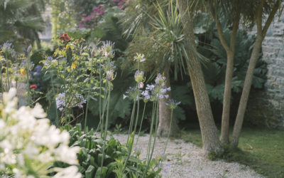 Un écrin de verdure au cœur de Tréguier : le jardin de l’Hôtel Aigue Marine